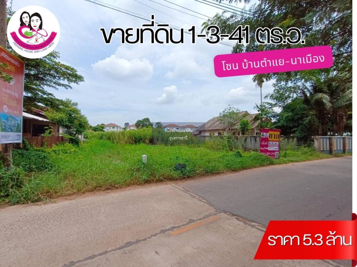 ขายที่ดิน โซนบ้านตำแย-นาเมือง เหมาะทำบ้านพักอาศัยหรือโครงการจัดสรร