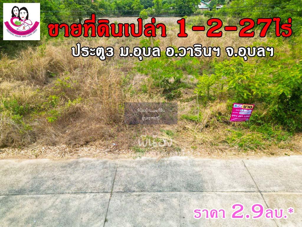 ขายที่ดินเปล่า โซนประตู3ม.อุบล 