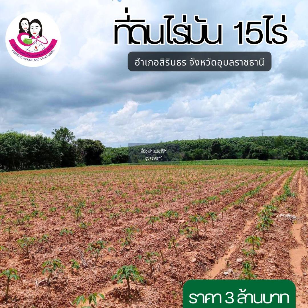 ขายที่ดินไร่มันสำปะหลัง ยกแปลง(15 ไร่ 3งาน.)* อยู่ ต. คำเขื่อนแก้ว อ.สิรินธร จ.อุบลราชธานี