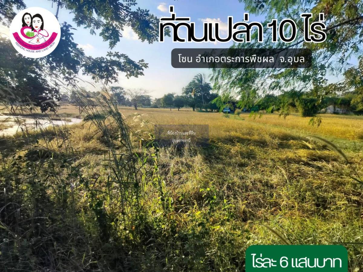 ที่ดินแปลงสวย เนื้อที่ 10ไร่ โซนตระการพืชผล จังหวัดอุบลราชธานี