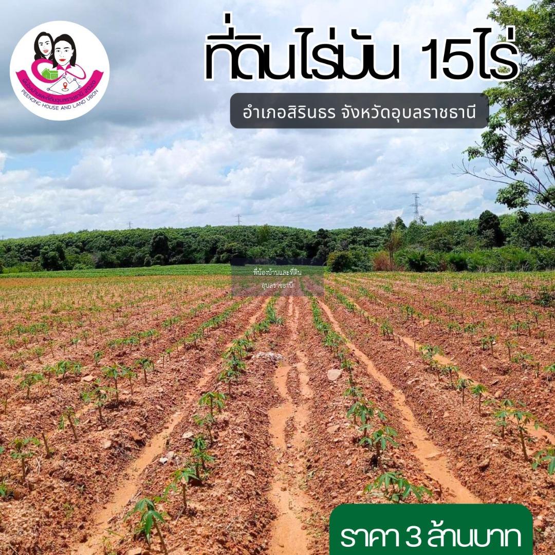 ขายที่ดินไร่มันสำปะหลัง ยกแปลง(15 ไร่ 3งาน.)* อยู่ ต. คำเขื่อนแก้ว อ.สิรินธร จ.อุบลราชธานี