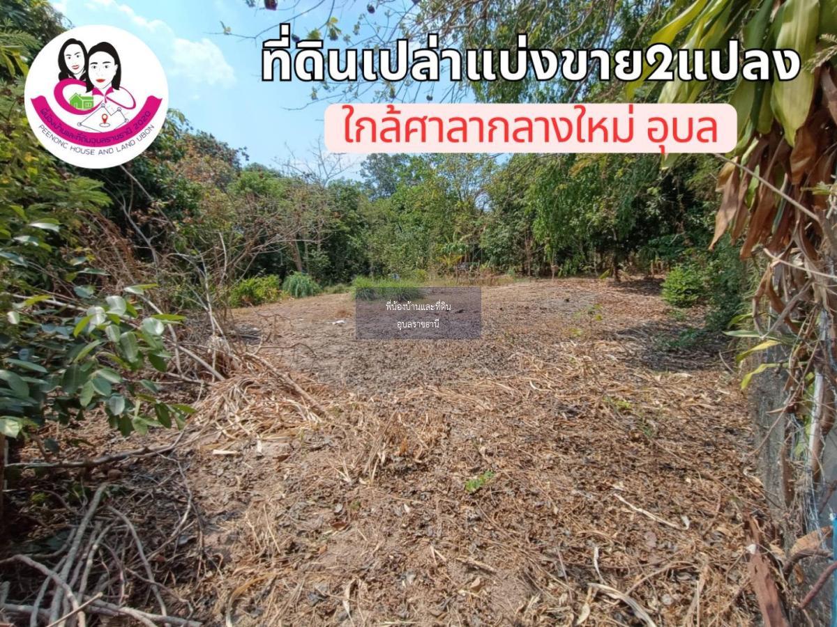 ที่ดินเปล่าแบ่งขาย 2แปลง ใกล้ศาลากลางใหม่จังหวัดอุบล