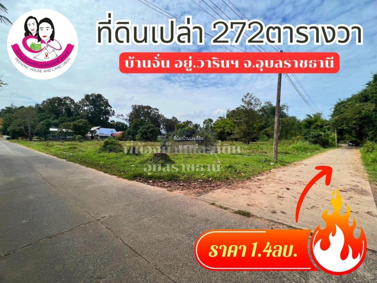 ขายที่ดินโซนบ้านจั่น ขนาด 272 ตารางวา