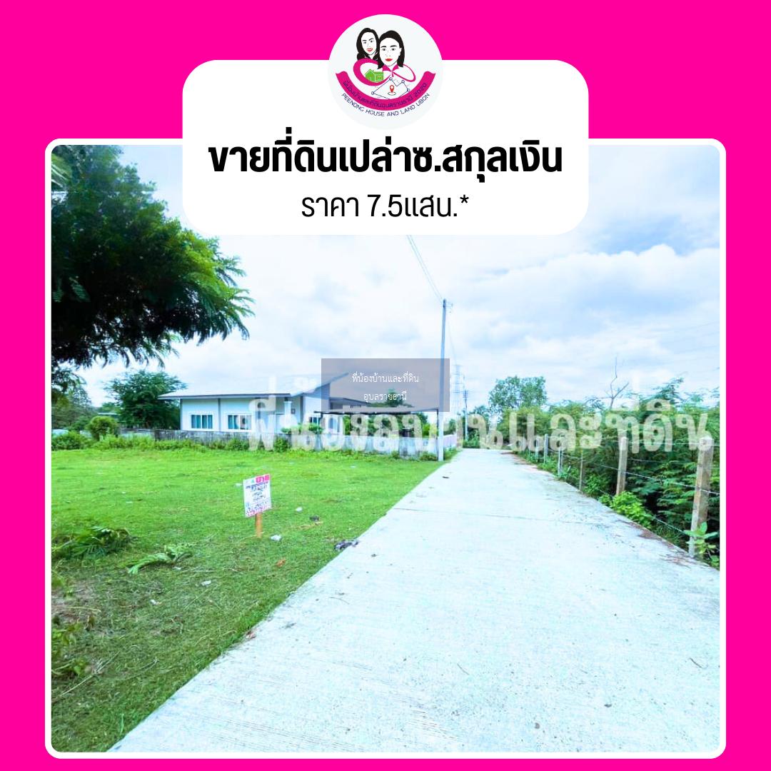 ขายที่ดิน ซ.สกุลเงิน ตำบลข้ามใหญ่ เมือง อุบลราชธานี