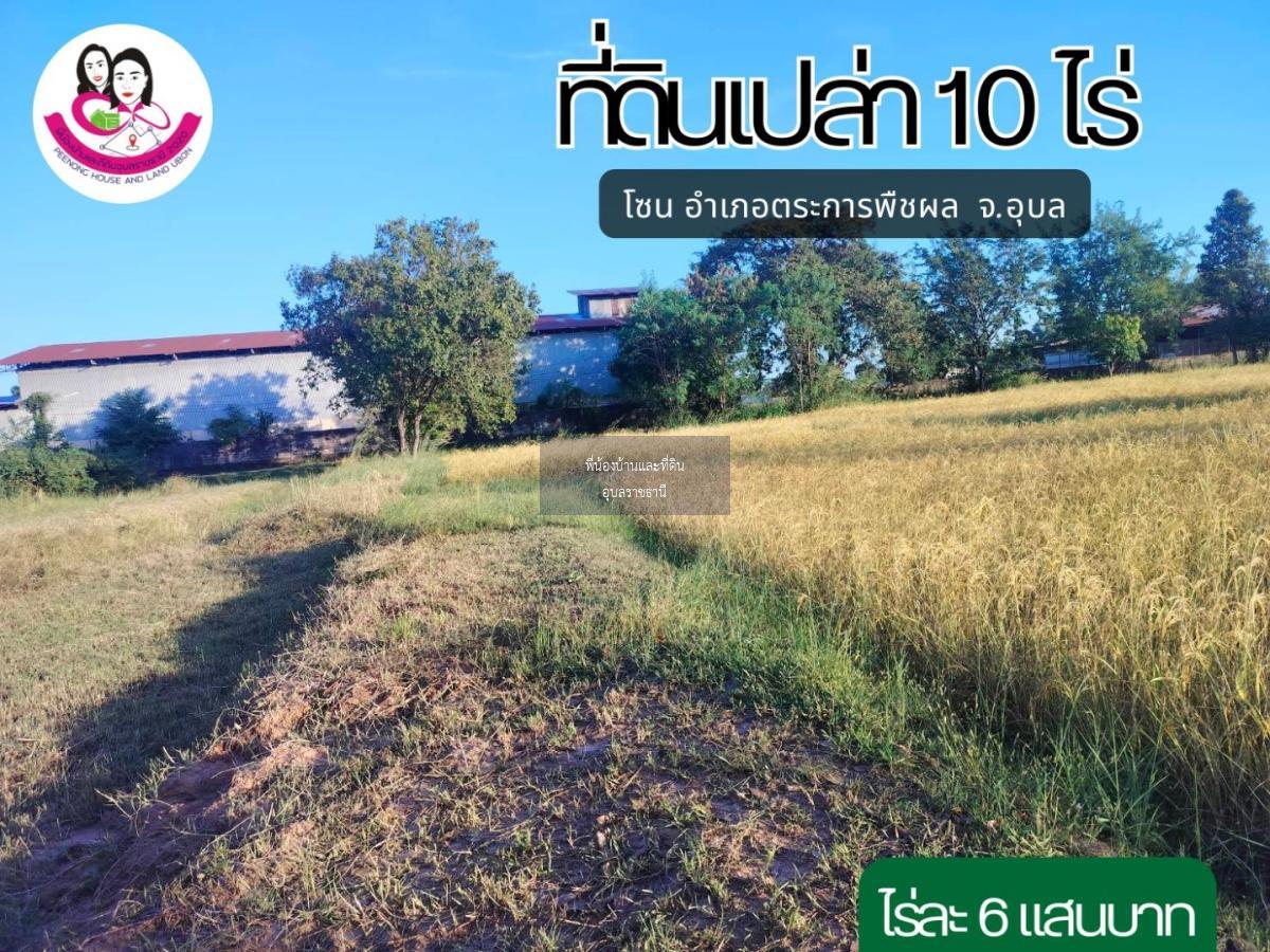 ที่ดินแปลงสวย เนื้อที่ 10ไร่ โซนตระการพืชผล จังหวัดอุบลราชธานี