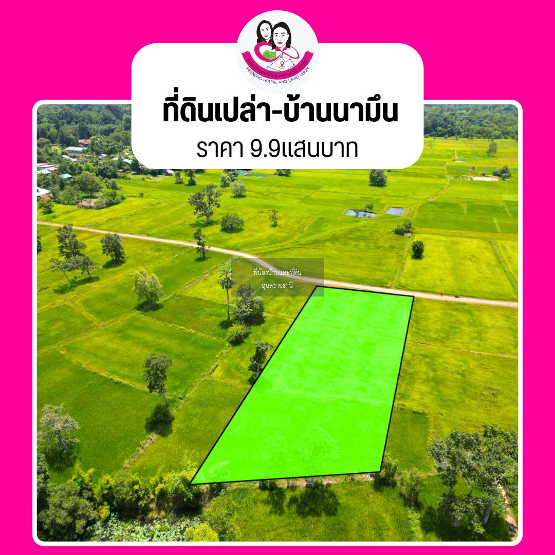 ขายที่ดิน บ้านนามึน (โฉนดครุฑแดง) 