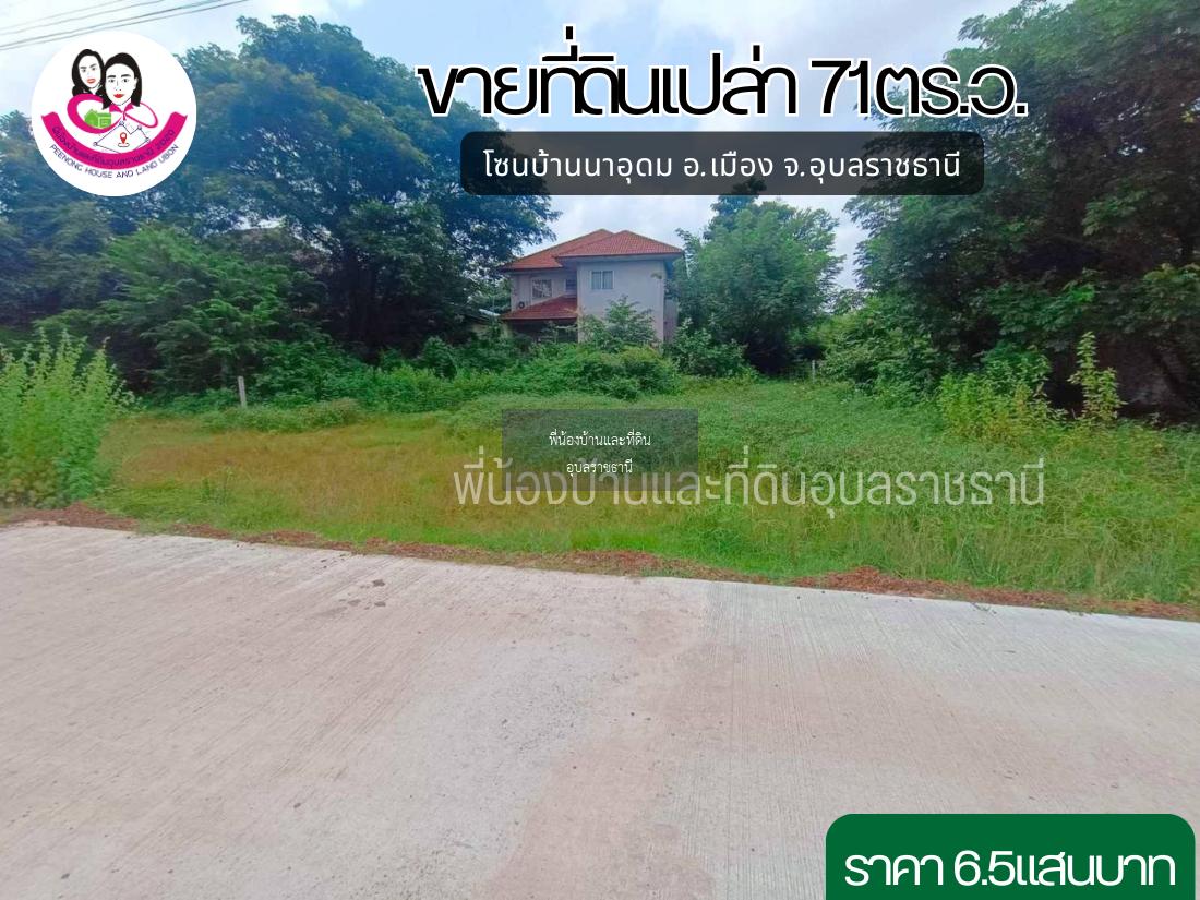 ขายที่ดินเปล่าสวยๆทำเลดี บ้านนาอุดม ตำบลขามใหญ่ อำเภอเมือง จังหวัดอุบล