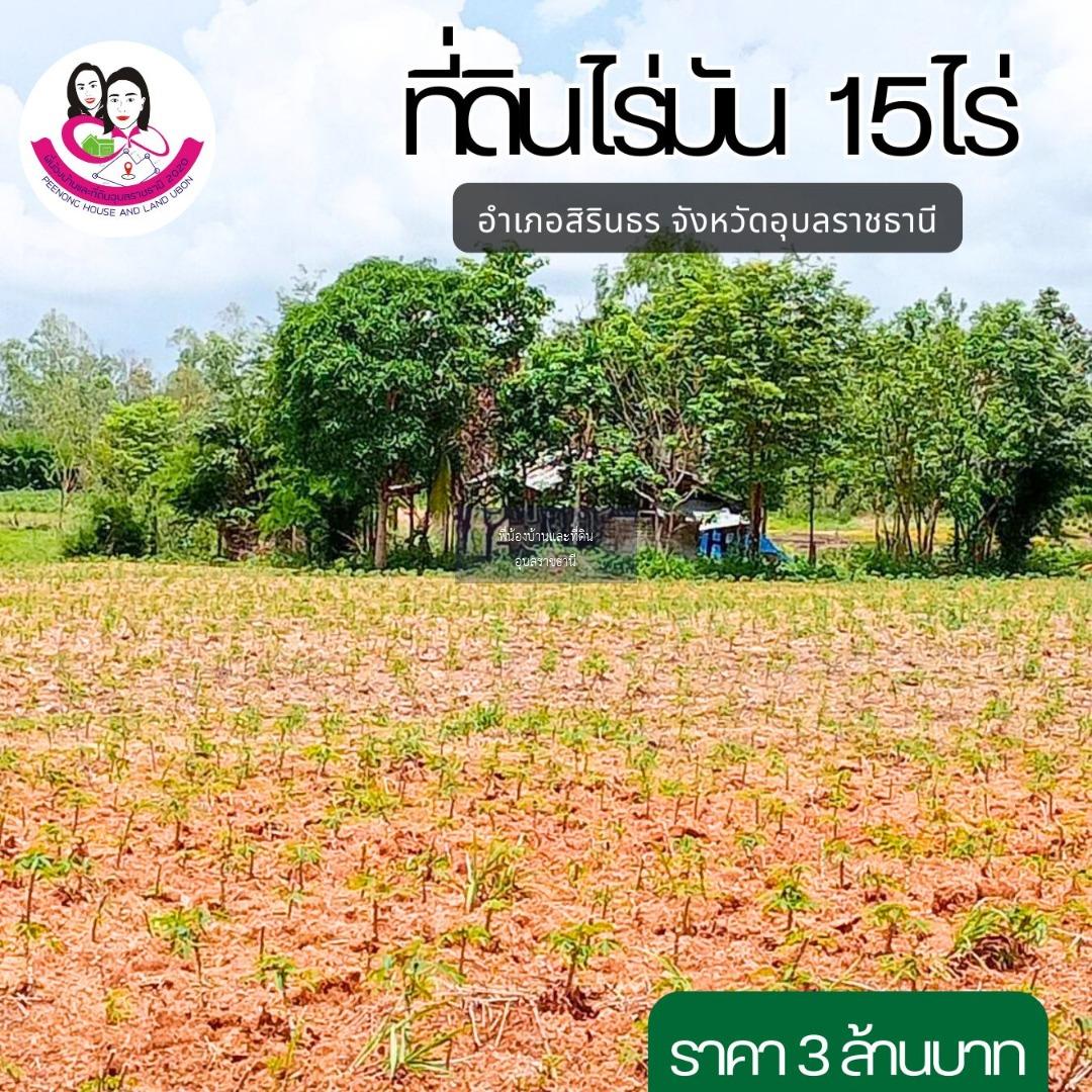 ขายที่ดินไร่มันสำปะหลัง ยกแปลง(15 ไร่ 3งาน.)* อยู่ ต. คำเขื่อนแก้ว อ.สิรินธร จ.อุบลราชธานี