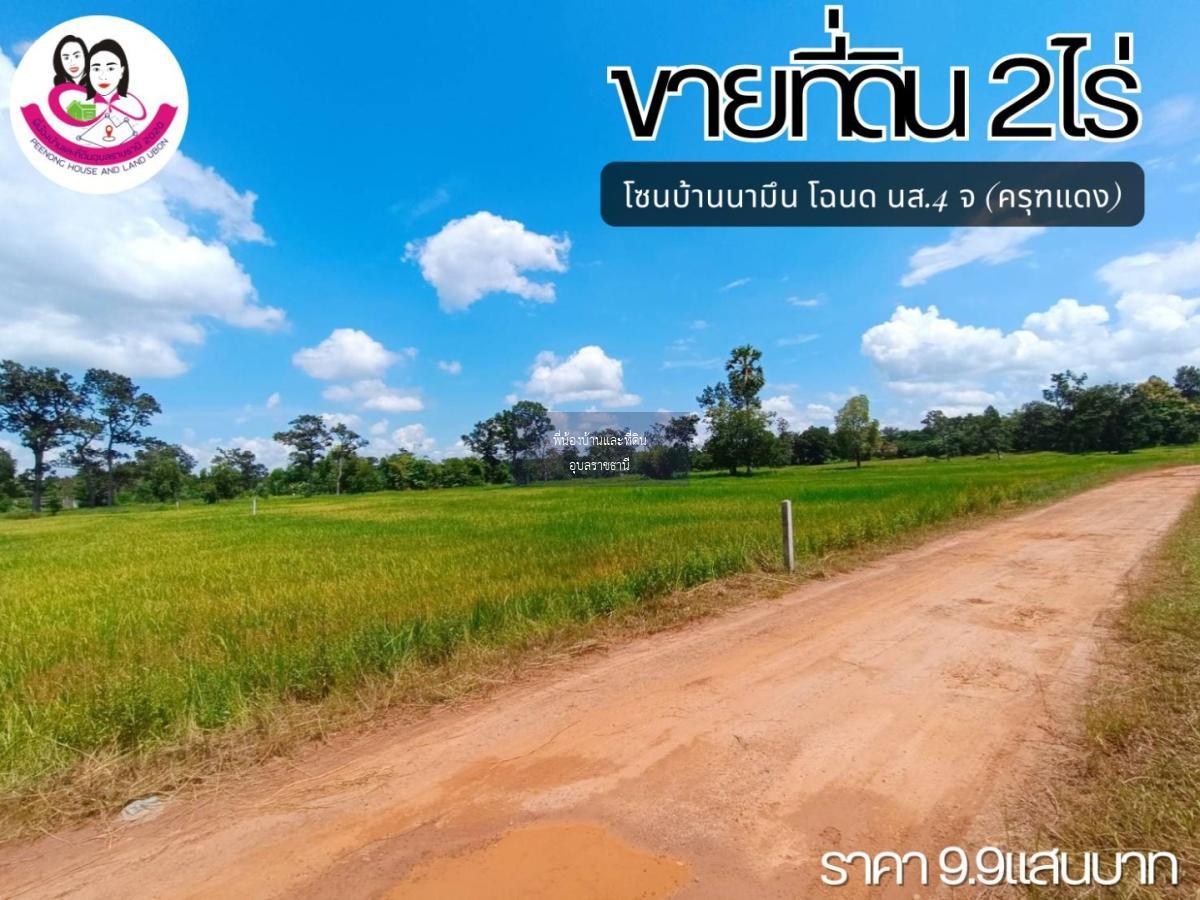 ขายที่ดิน บ้านนามึน (โฉนดครุฑแดง) 