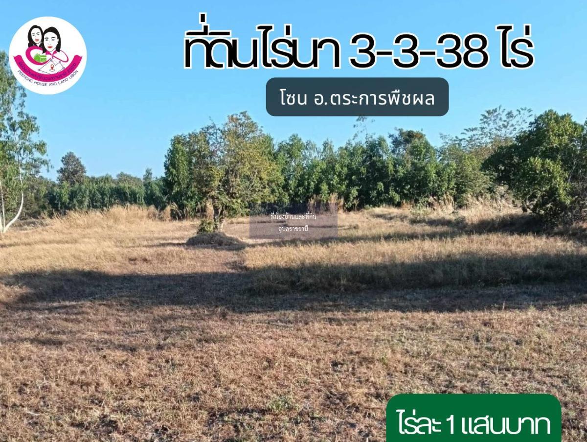 ขายที่นา บ.โนนบ่อแบง ต.ขามเปี้ย อ.ตระการพืชผล จ.อุบลราชธานี