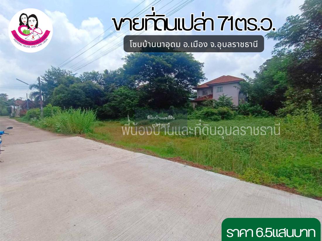 ขายที่ดินเปล่าสวยๆทำเลดี บ้านนาอุดม ตำบลขามใหญ่ อำเภอเมือง จังหวัดอุบล