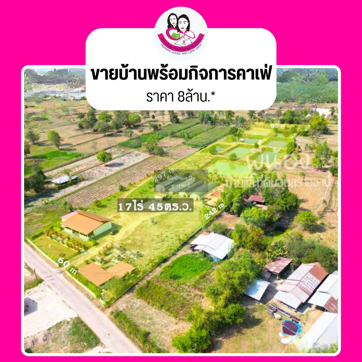 ขายบ้านพร้อมกิจการร้านอาหารและคาเฟ่