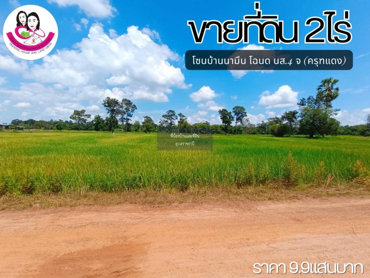 ขายที่ดิน บ้านนามึน (โฉนดครุฑแดง) 