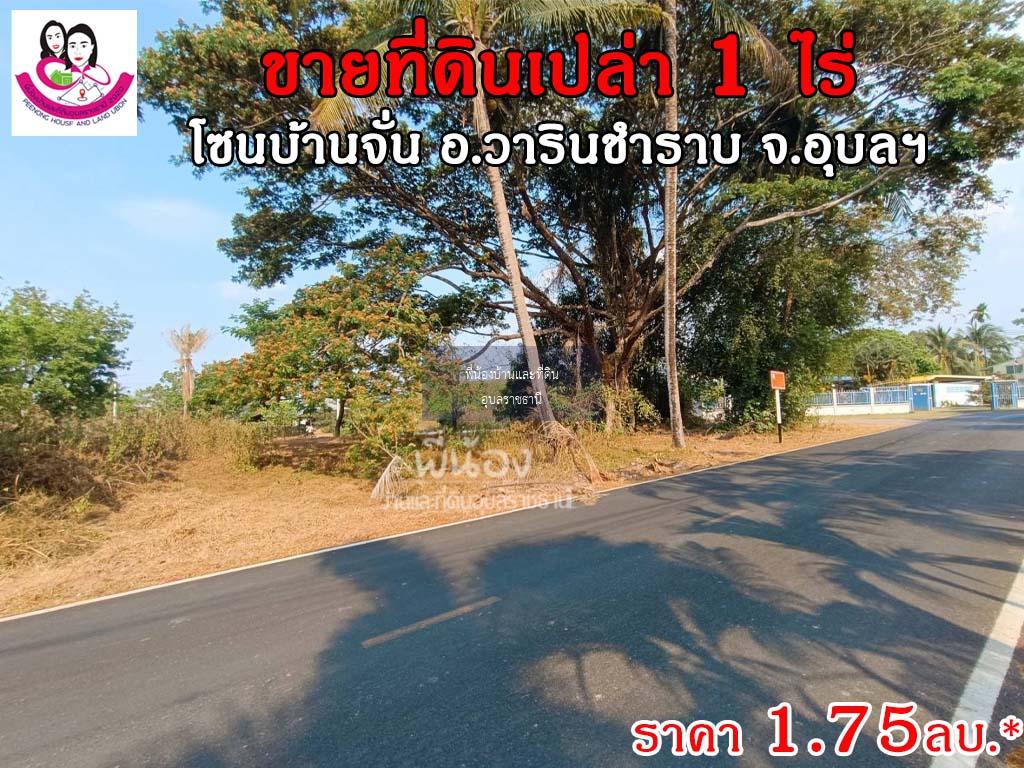 ขายที่ดินโซนบ้านจั่น ขนาด 1ไร่ เข้าถนนข้างหมู่บ้านสาริน-บ้านจั่น เขตชุมชน อ.วาริน