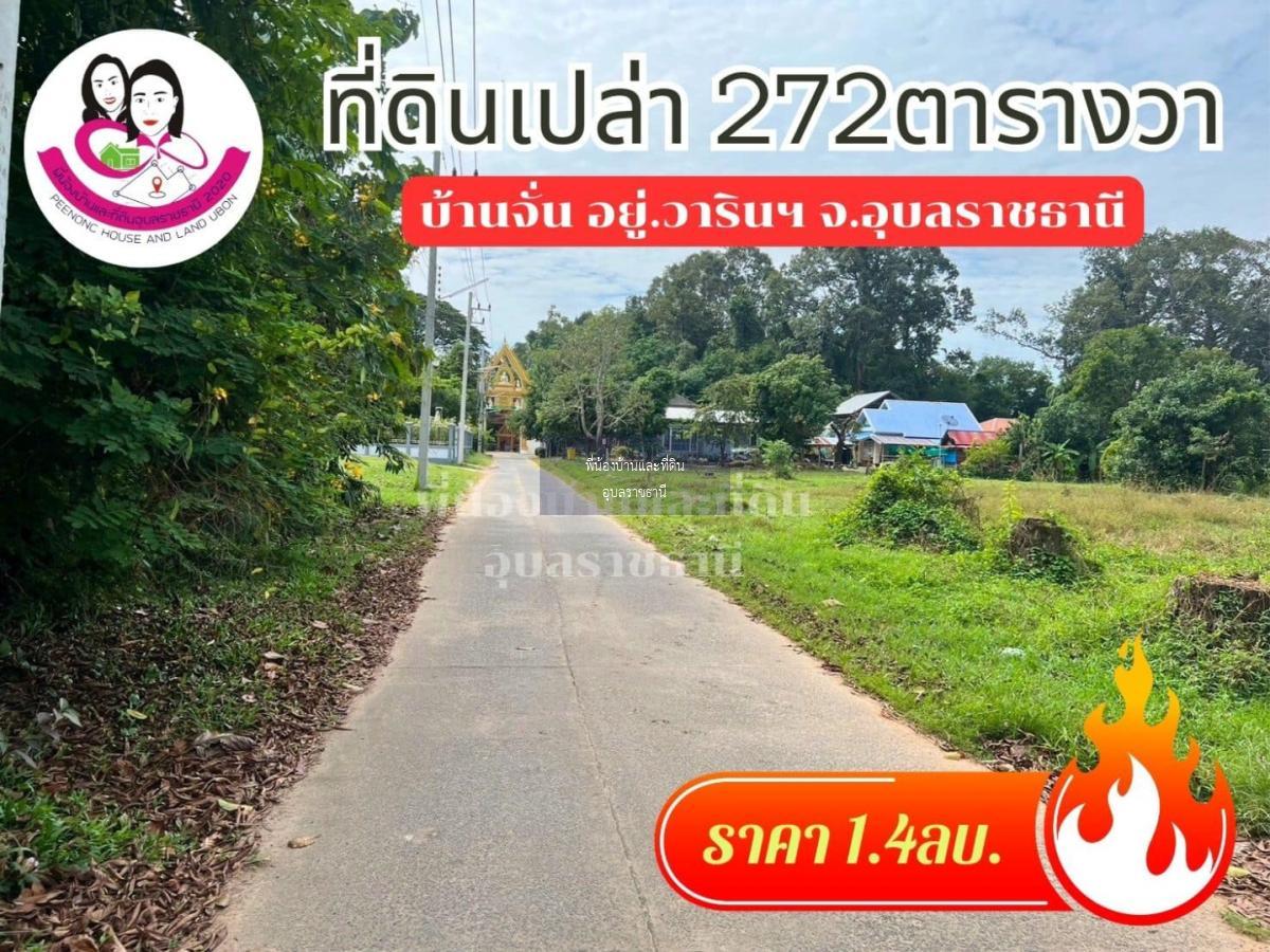 ขายที่ดินโซนบ้านจั่น ขนาด 272 ตารางวา