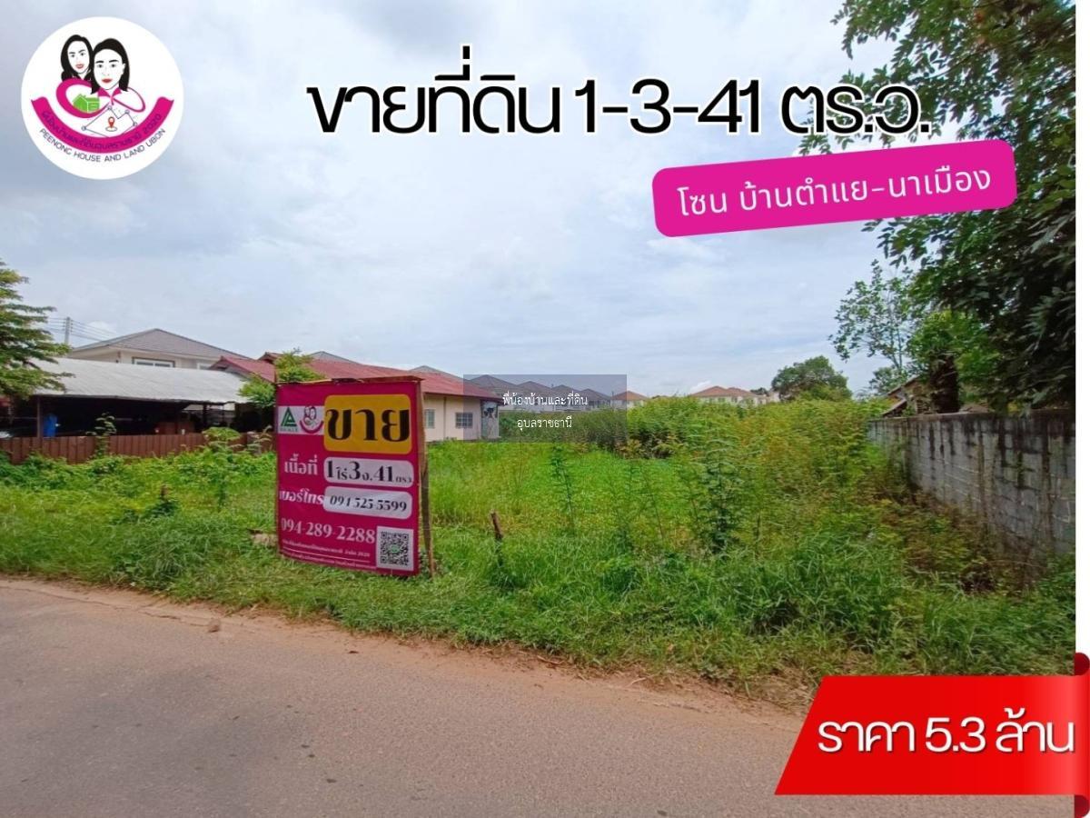 ขายที่ดิน โซนบ้านตำแย-นาเมือง เหมาะทำบ้านพักอาศัยหรือโครงการจัดสรร