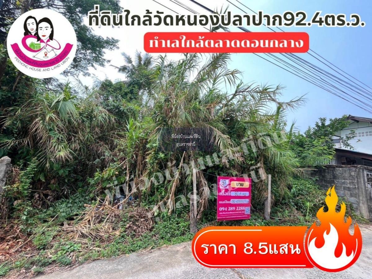 ขายที่ดิน หน้าวัดหนองปลาปาก ต.ขามใหญ่ อ.เมือง จ.อุบล