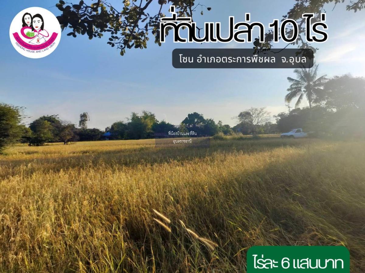 ที่ดินแปลงสวย เนื้อที่ 10ไร่ โซนตระการพืชผล จังหวัดอุบลราชธานี