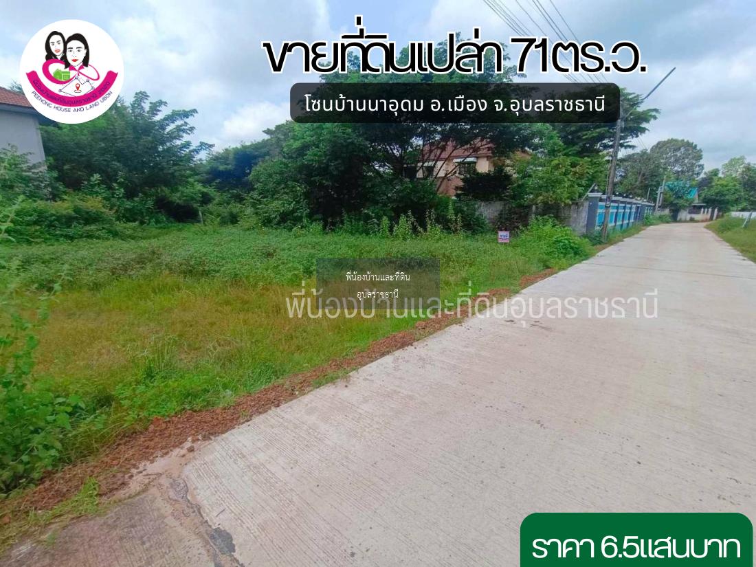 ขายที่ดินเปล่าสวยๆทำเลดี บ้านนาอุดม ตำบลขามใหญ่ อำเภอเมือง จังหวัดอุบล