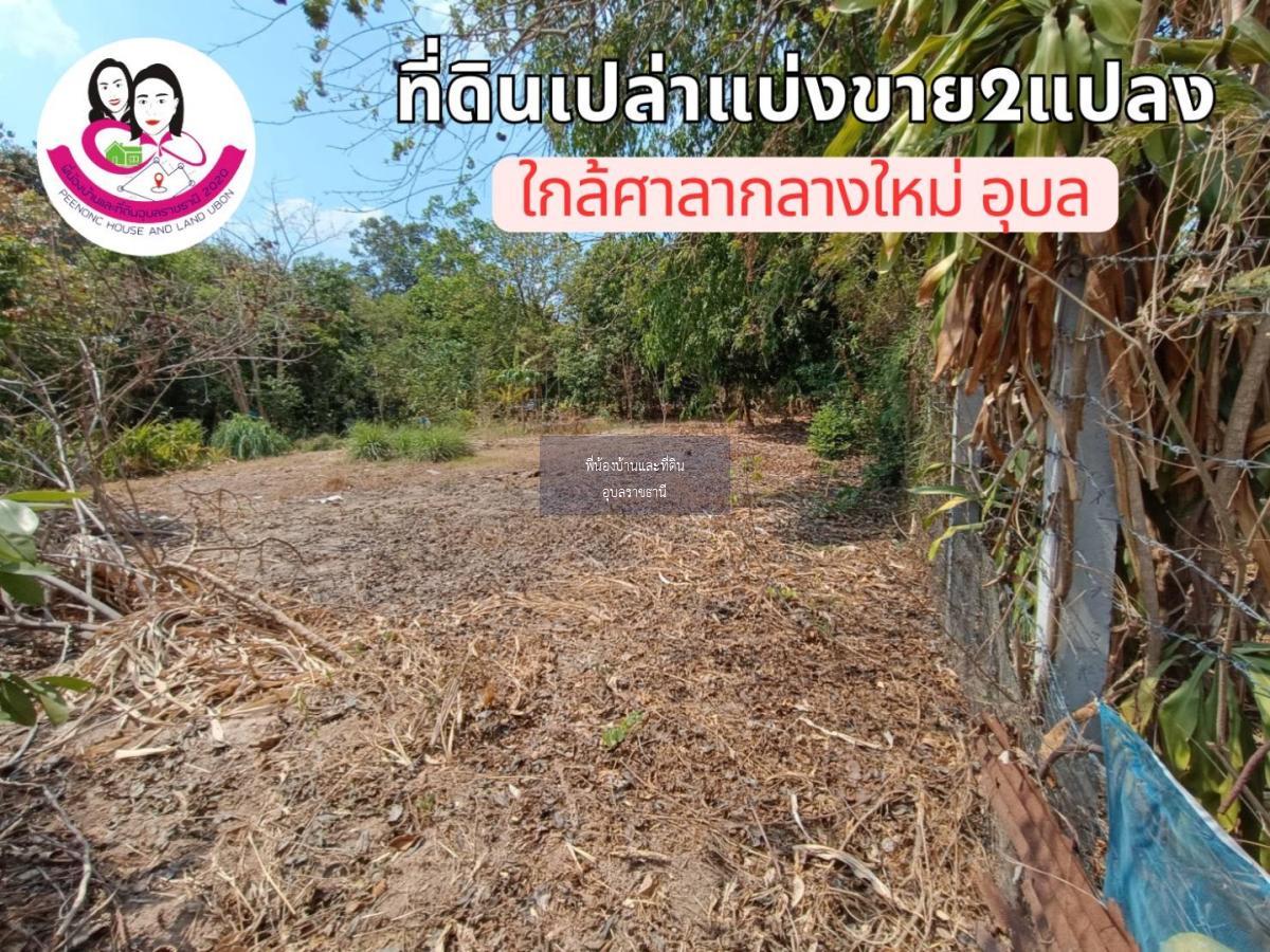 ที่ดินเปล่าแบ่งขาย 2แปลง ใกล้ศาลากลางใหม่จังหวัดอุบล