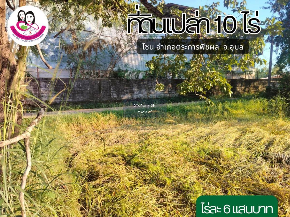 ที่ดินแปลงสวย เนื้อที่ 10ไร่ โซนตระการพืชผล จังหวัดอุบลราชธานี