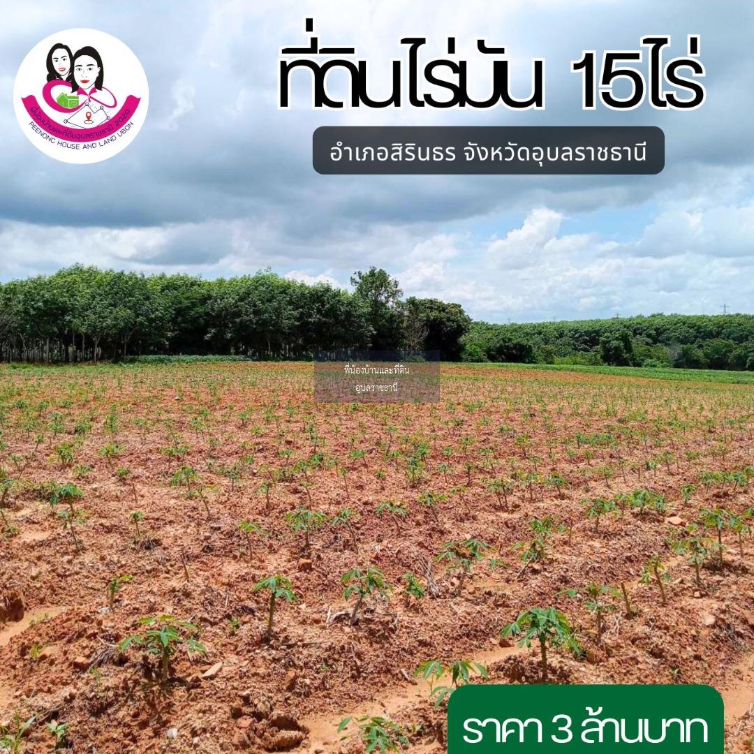 ขายที่ดินไร่มันสำปะหลัง ยกแปลง(15 ไร่ 3งาน.)* อยู่ ต. คำเขื่อนแก้ว อ.สิรินธร จ.อุบลราชธานี