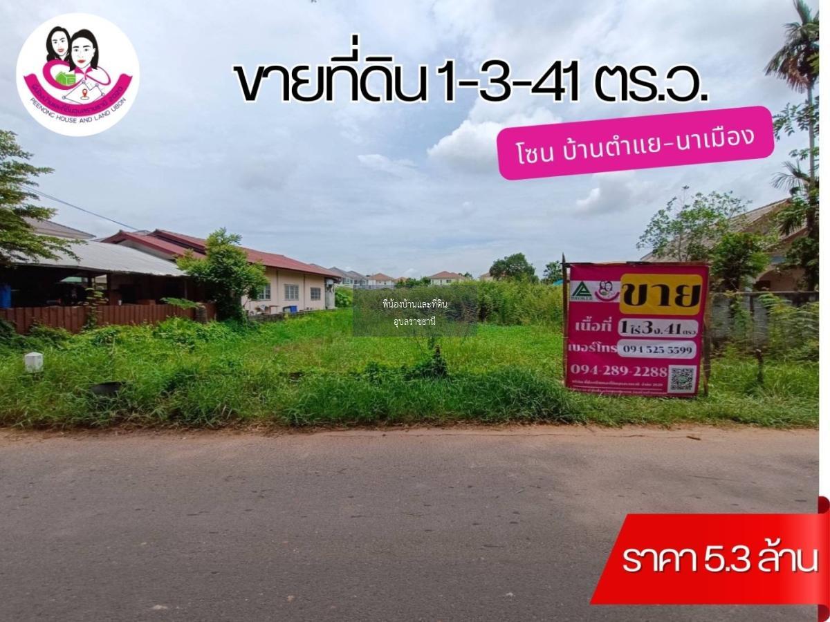 ขายที่ดิน โซนบ้านตำแย-นาเมือง เหมาะทำบ้านพักอาศัยหรือโครงการจัดสรร