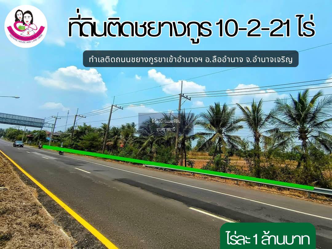 ขายที่ดินทำเลทอง ติดถนนชยางกูรขาเข้าอำนาจเจริญ 🚩อ.ลืออำนาจ จ.อำนาจเจริญ