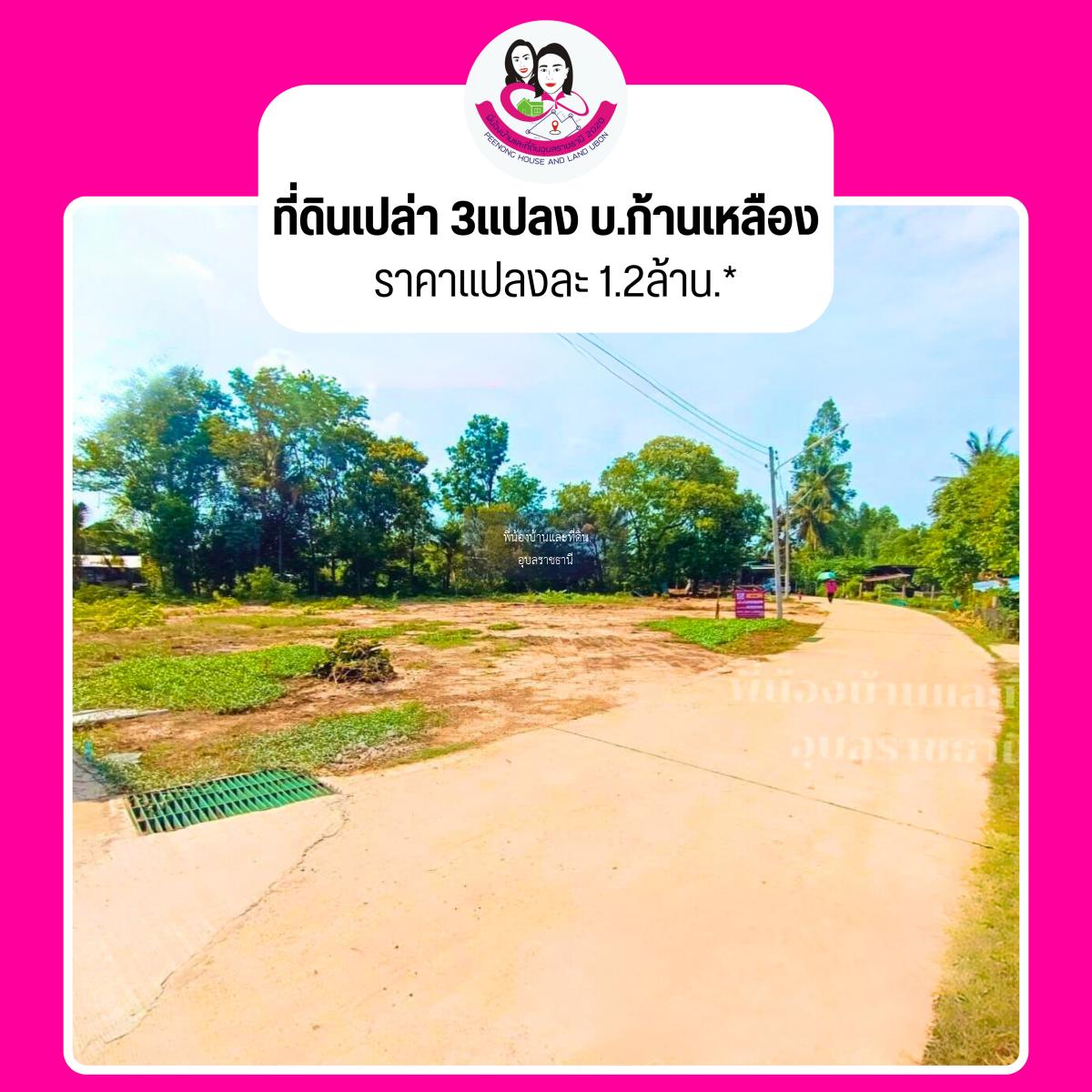 ขายที่ดินเปล่าสร้างบ้านโซนบ้านก้านเหลือง