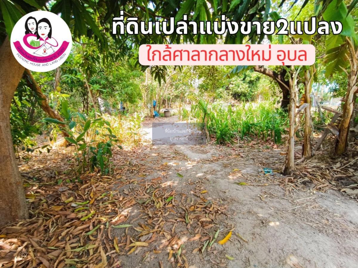 ที่ดินเปล่าแบ่งขาย 2แปลง ใกล้ศาลากลางใหม่จังหวัดอุบล