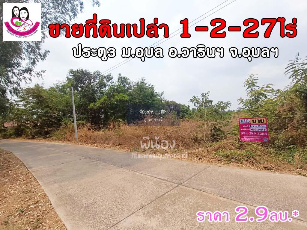 ขายที่ดินเปล่า โซนประตู3ม.อุบล 