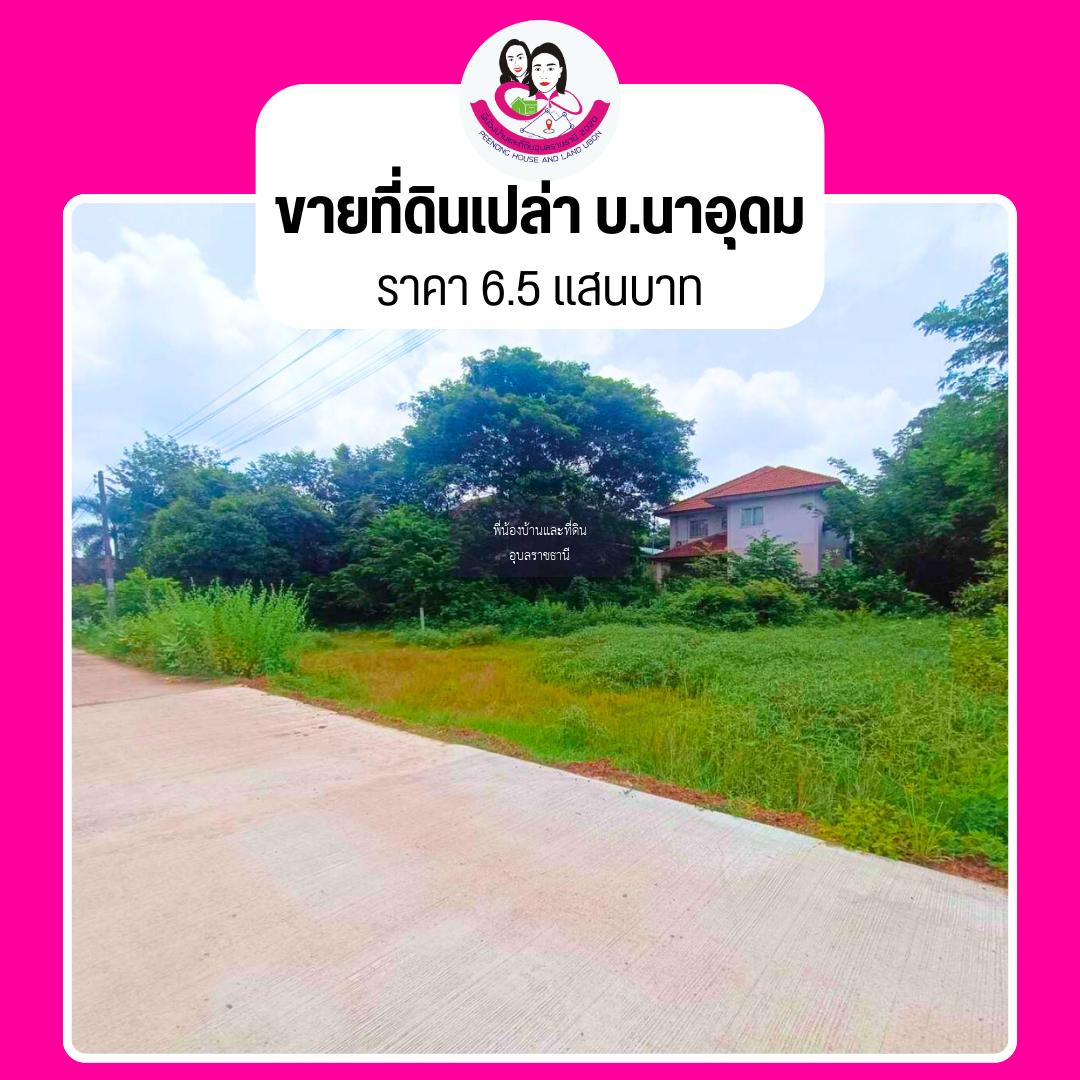 ขายที่ดินเปล่าสวยๆทำเลดี บ้านนาอุดม ตำบลขามใหญ่ อำเภอเมือง จังหวัดอุบล