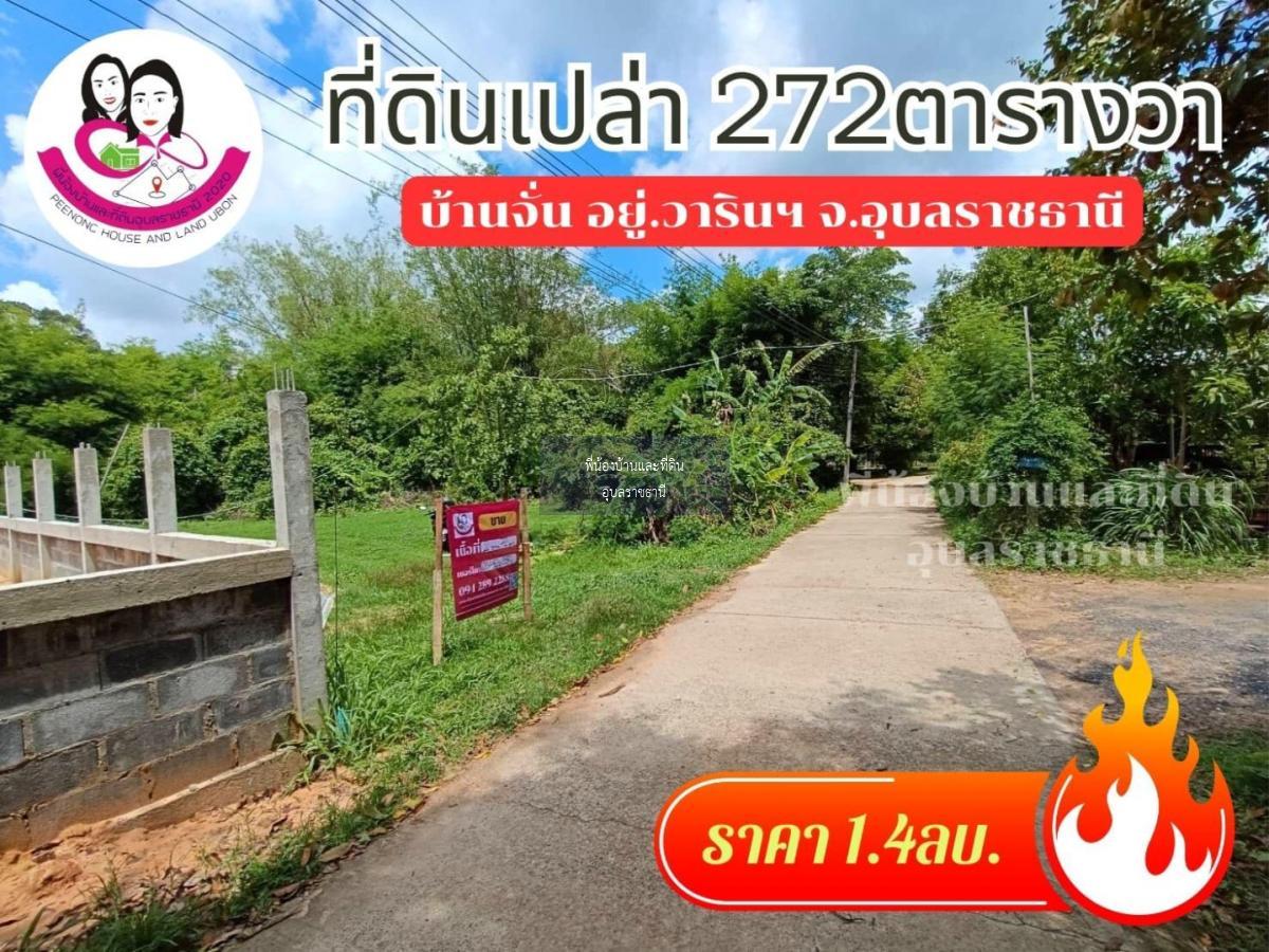 ขายที่ดินโซนบ้านจั่น ขนาด 272 ตารางวา