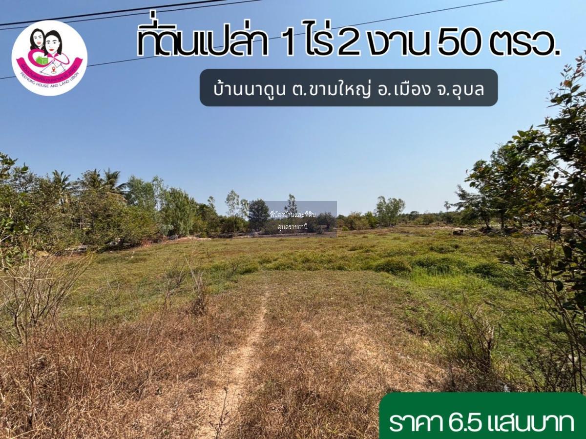 ขายที่ดิน บ้านนาดูน ต.ขามใหญ่ อ.เมือง จ.อุบล