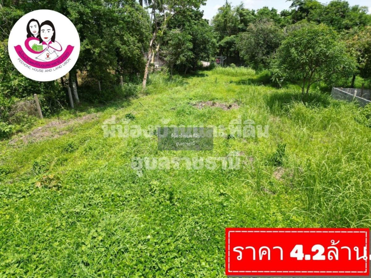 ขายที่ดินเปล่า-หลังวิทยาลัยสาธารณสุขสิรินธร - มหาวิทยาลัยอุบลราชธานี 