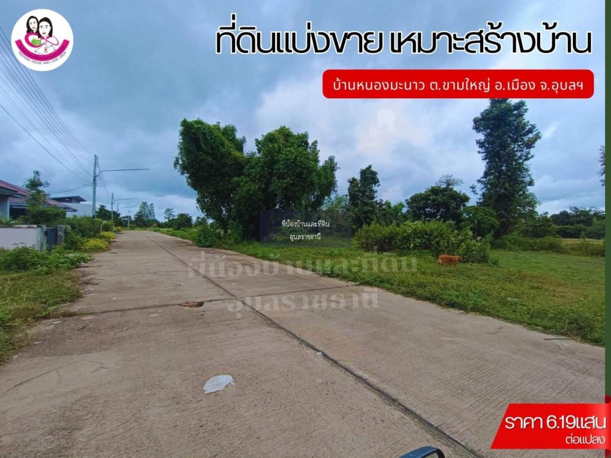 ที่ดินแบ่งขาย 12แปลง เหมาะสร้างบ้านพักอาศัย