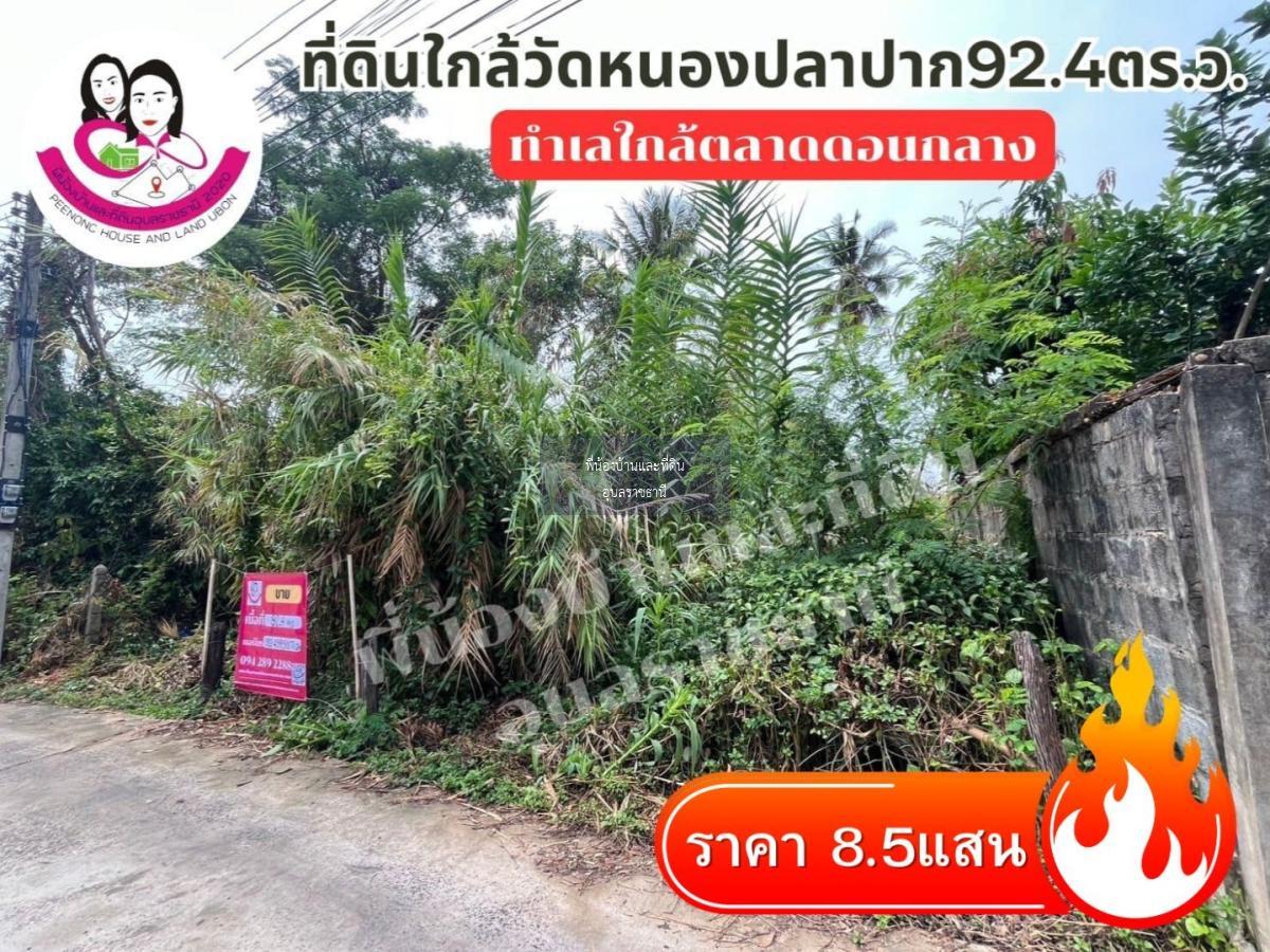 ขายที่ดิน หน้าวัดหนองปลาปาก ต.ขามใหญ่ อ.เมือง จ.อุบล