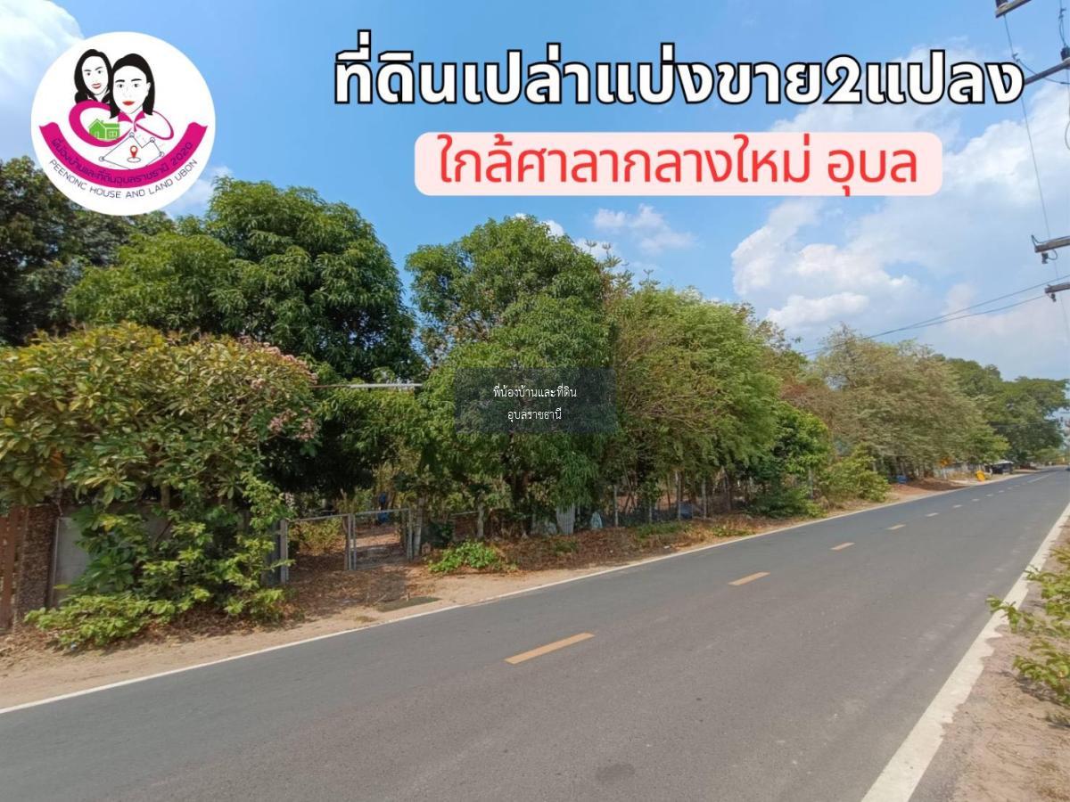 ที่ดินเปล่าแบ่งขาย 2แปลง ใกล้ศาลากลางใหม่จังหวัดอุบล