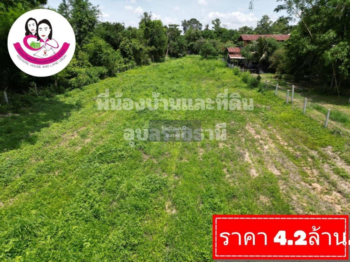 ขายที่ดินเปล่า-หลังวิทยาลัยสาธารณสุขสิรินธร - มหาวิทยาลัยอุบลราชธานี 