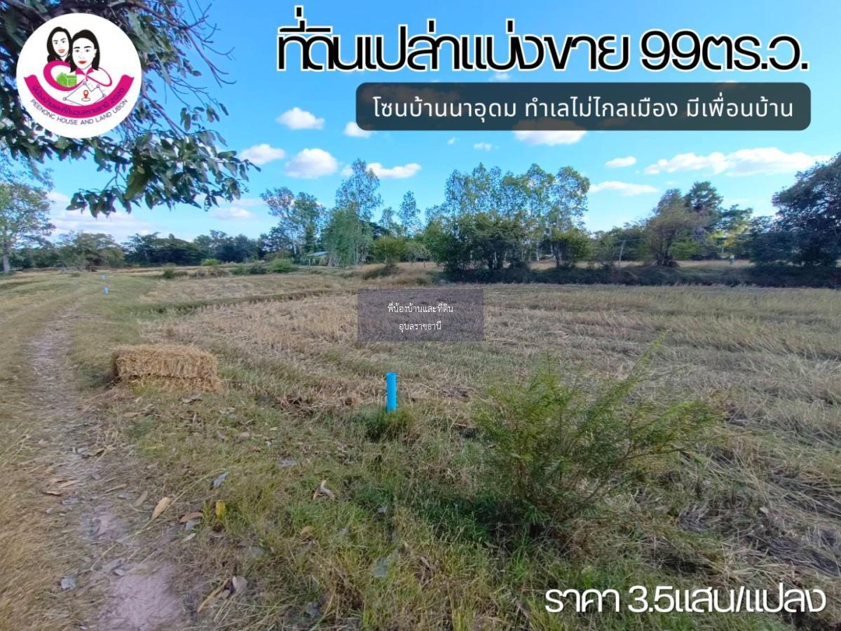 ที่ดินเปล่าแบ่งขาย โซนบ้านนาอุดม