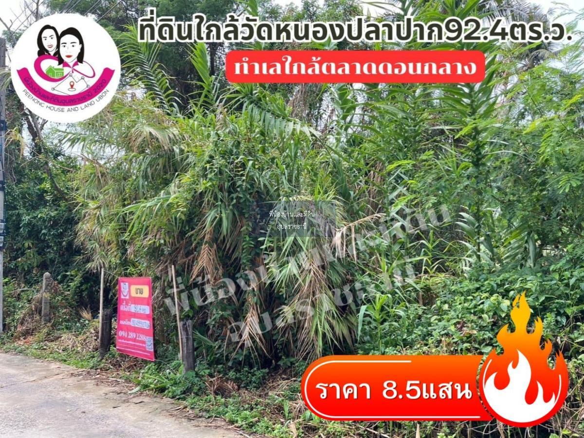 ขายที่ดิน หน้าวัดหนองปลาปาก ต.ขามใหญ่ อ.เมือง จ.อุบล