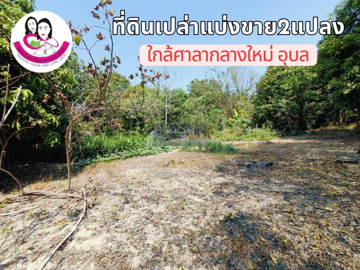 ที่ดินเปล่าแบ่งขาย 2แปลง ใกล้ศาลากลางใหม่จังหวัดอุบล