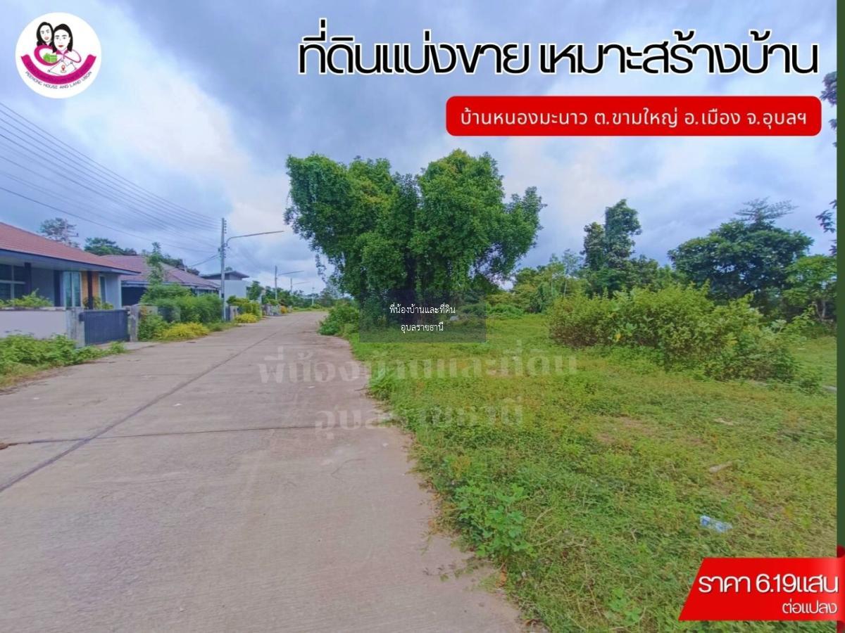 ที่ดินแบ่งขาย 12แปลง เหมาะสร้างบ้านพักอาศัย