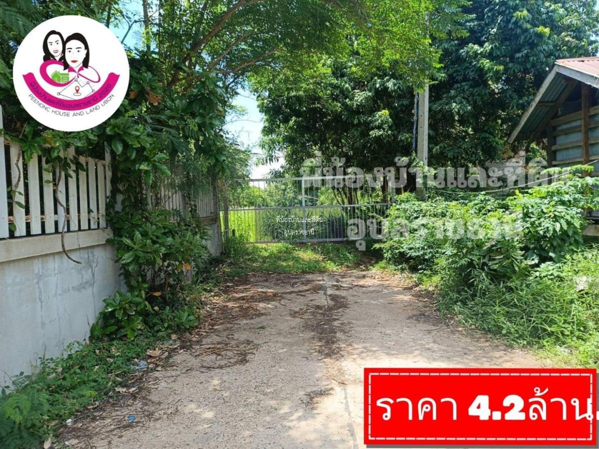 ขายที่ดินเปล่า-หลังวิทยาลัยสาธารณสุขสิรินธร - มหาวิทยาลัยอุบลราชธานี 