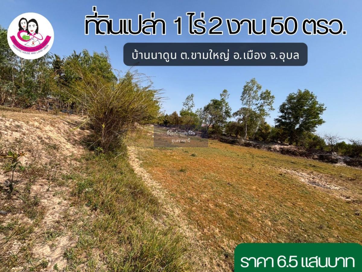 ขายที่ดิน บ้านนาดูน ต.ขามใหญ่ อ.เมือง จ.อุบล