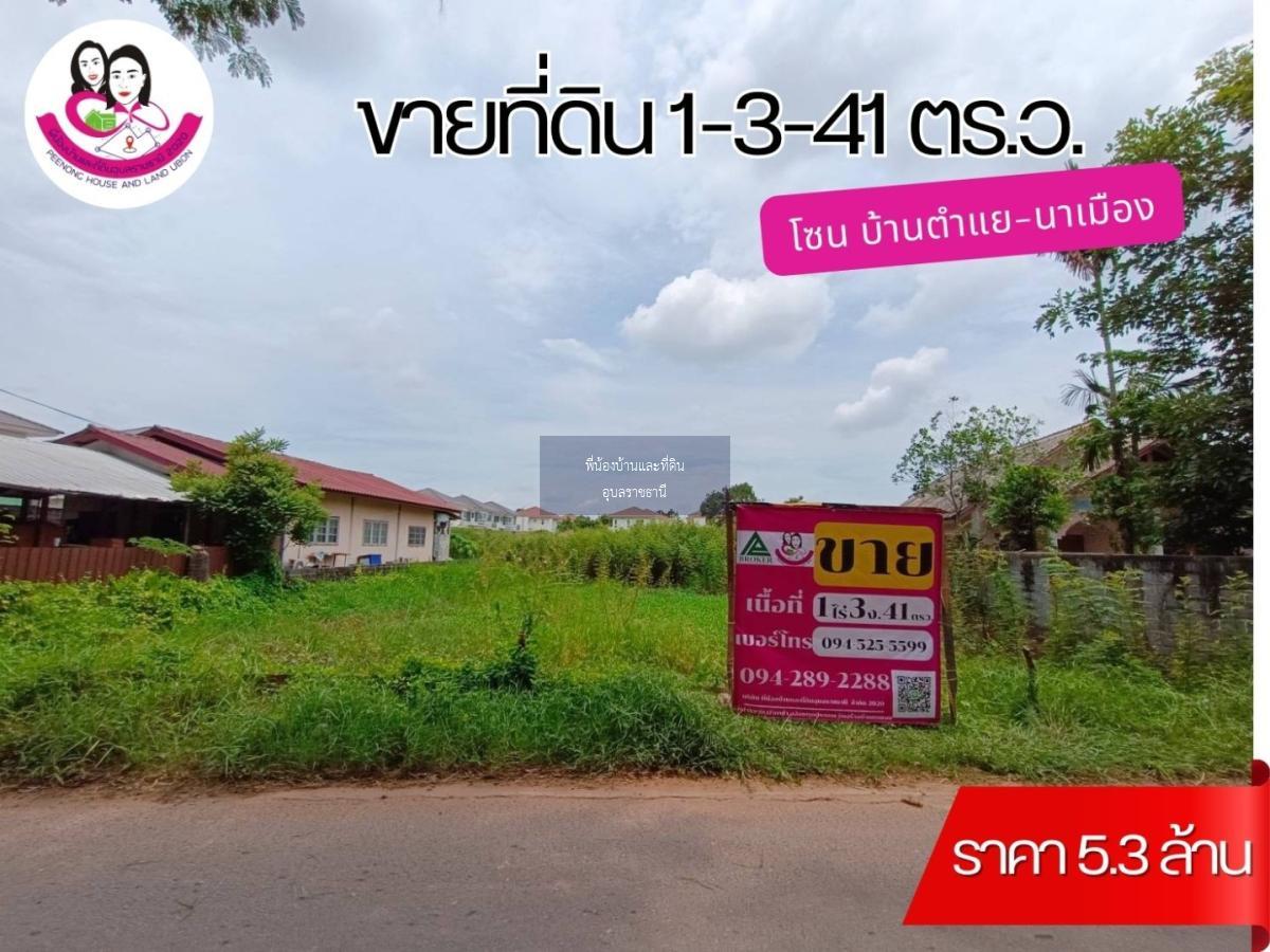 ขายที่ดิน โซนบ้านตำแย-นาเมือง เหมาะทำบ้านพักอาศัยหรือโครงการจัดสรร