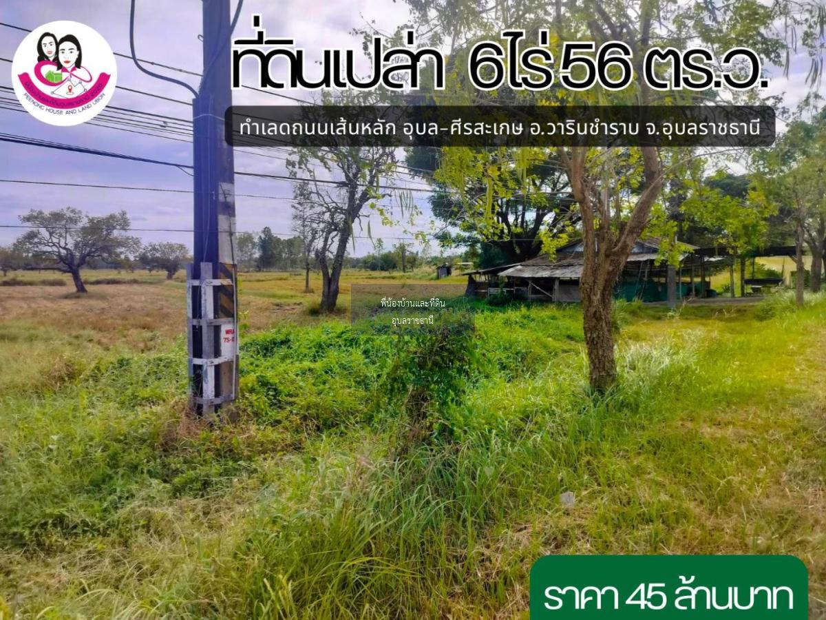 ขายที่ดินเปล่าติดถนนเส้นหลัก อุบล-ศีรสะเกษ 