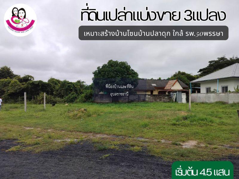 ที่ดินเปล่าแบ่งขาย 3แปลง เหมาะสร้างบ้านพักอาศัย ใกล้ตลาดสันติสุข2