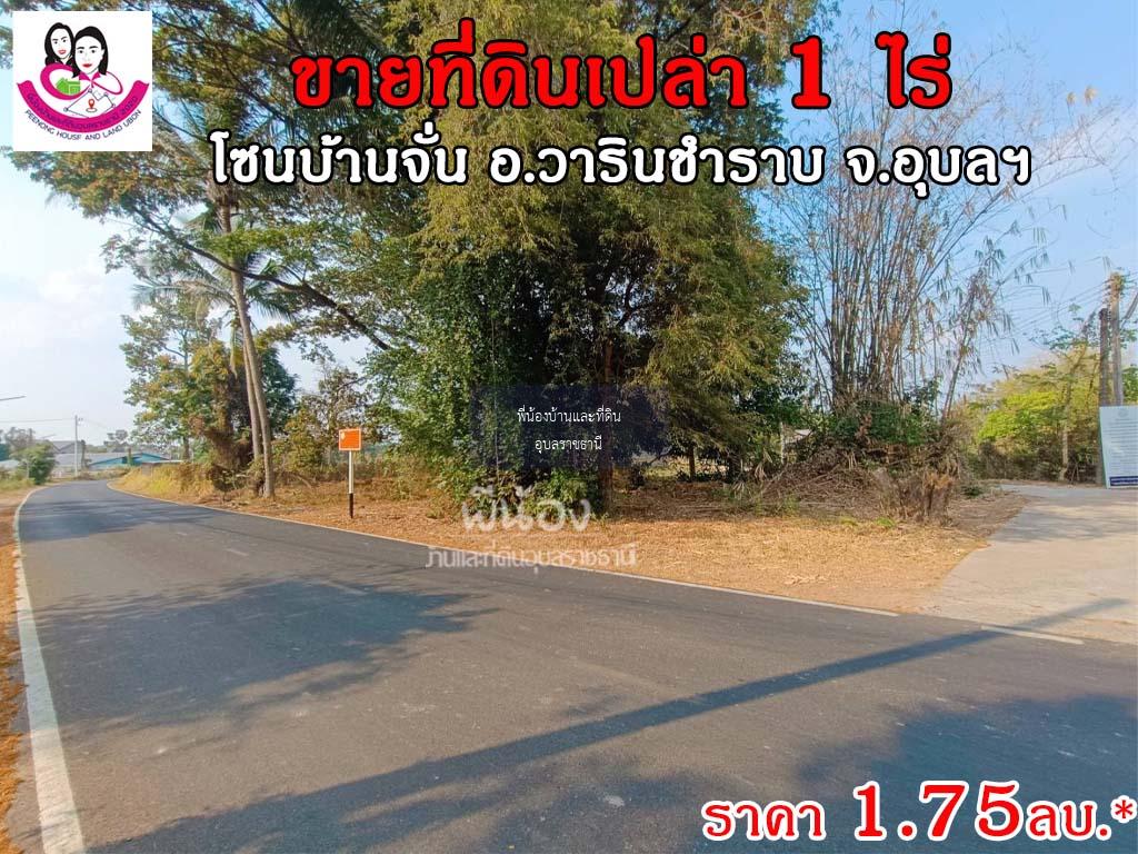 ขายที่ดินโซนบ้านจั่น ขนาด 1ไร่ เข้าถนนข้างหมู่บ้านสาริน-บ้านจั่น เขตชุมชน อ.วาริน