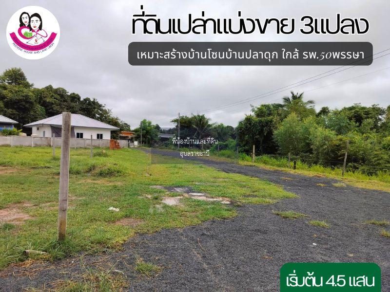 ที่ดินเปล่าแบ่งขาย 3แปลง เหมาะสร้างบ้านพักอาศัย ใกล้ตลาดสันติสุข2